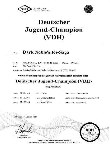 Urkunde Jugend-Champion_f